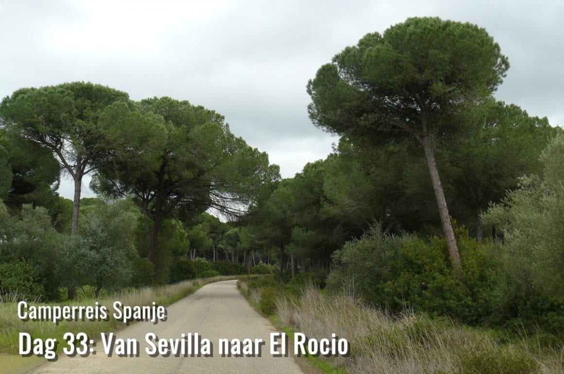 Natuurpark Doñana