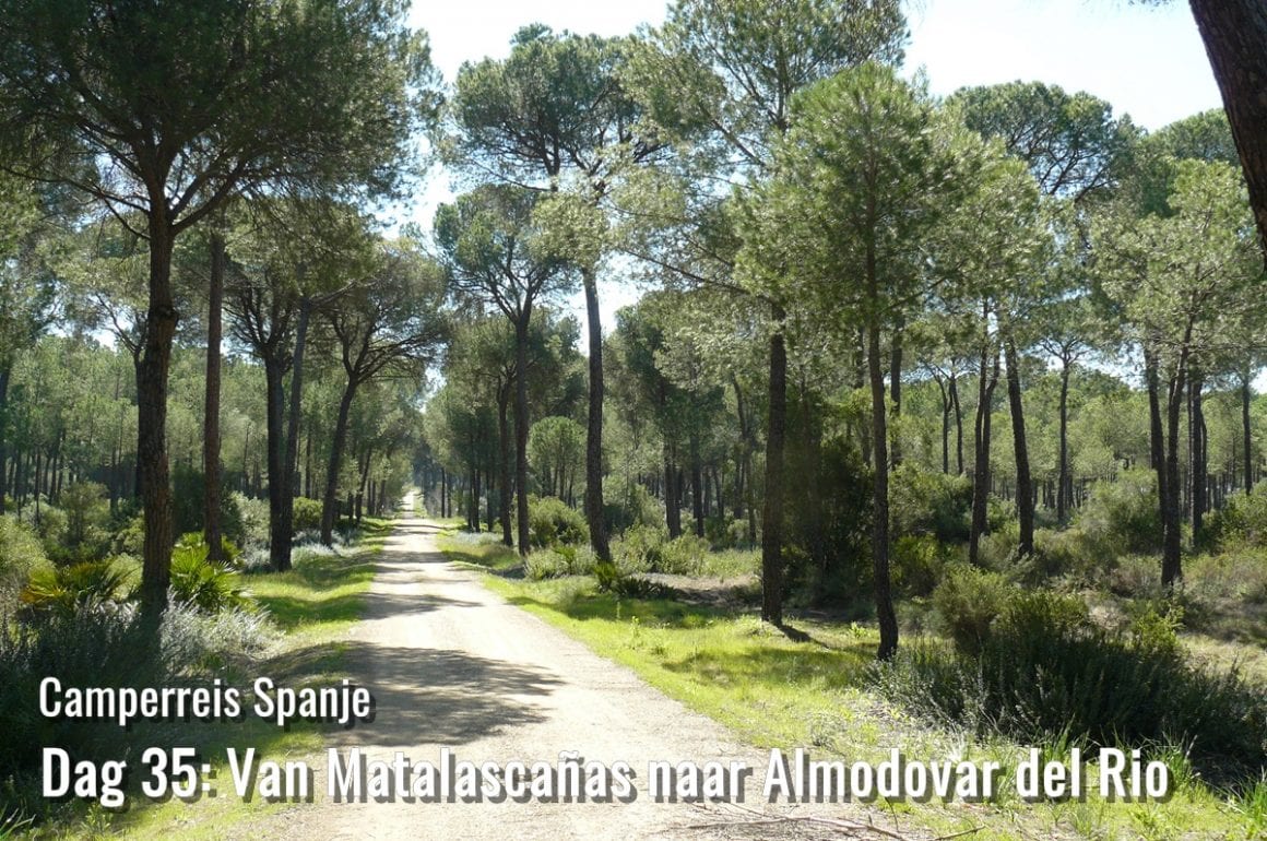 Natuurpark Doñana